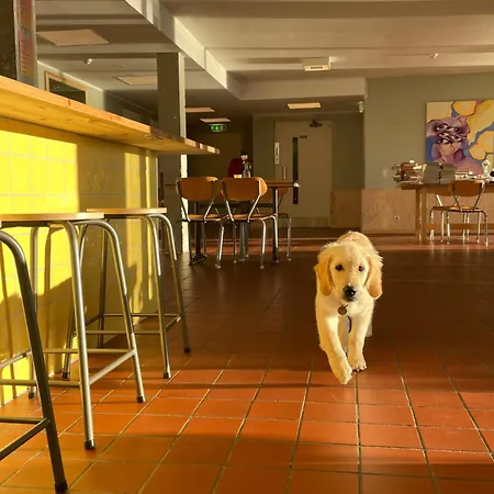 ホテル Balestrand Hotel 3*